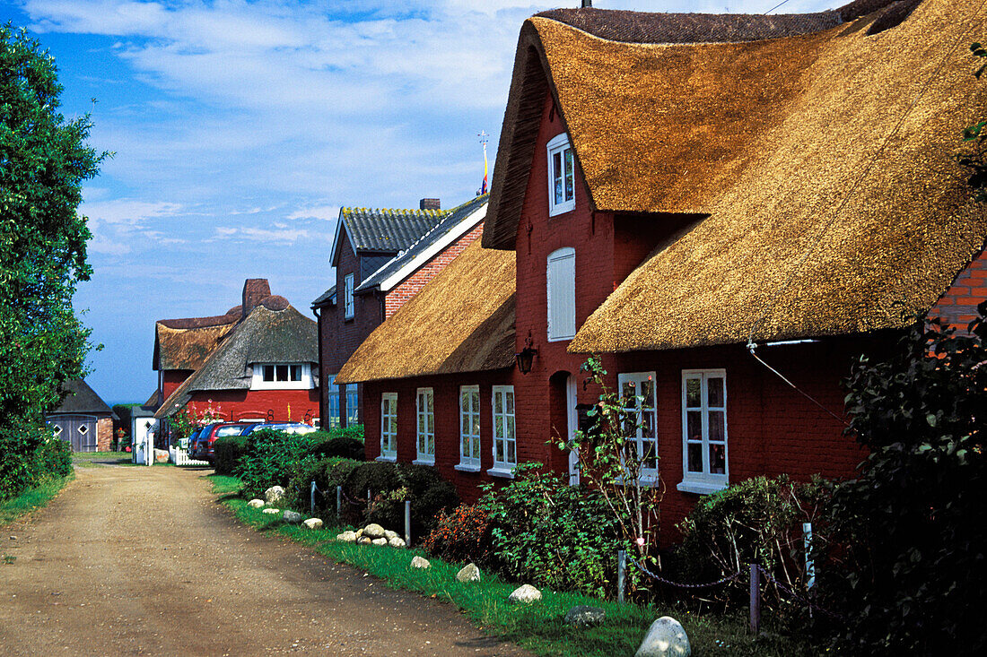 frisian houses, Nebel, Amrum Island, Northfriesian Islands, Schleswig-Holstein, Germany