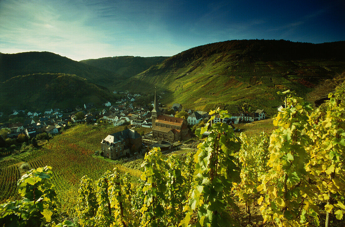 View to Mayschoss, Ahr Valley, Eifel, Rhineland-Palatinate, Germany