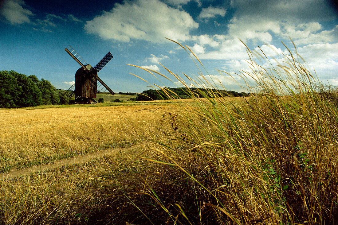 Windmühle im Naturschutzgebiet "Fahner Höhe" bei Gotha, Thüringen, Deutschland