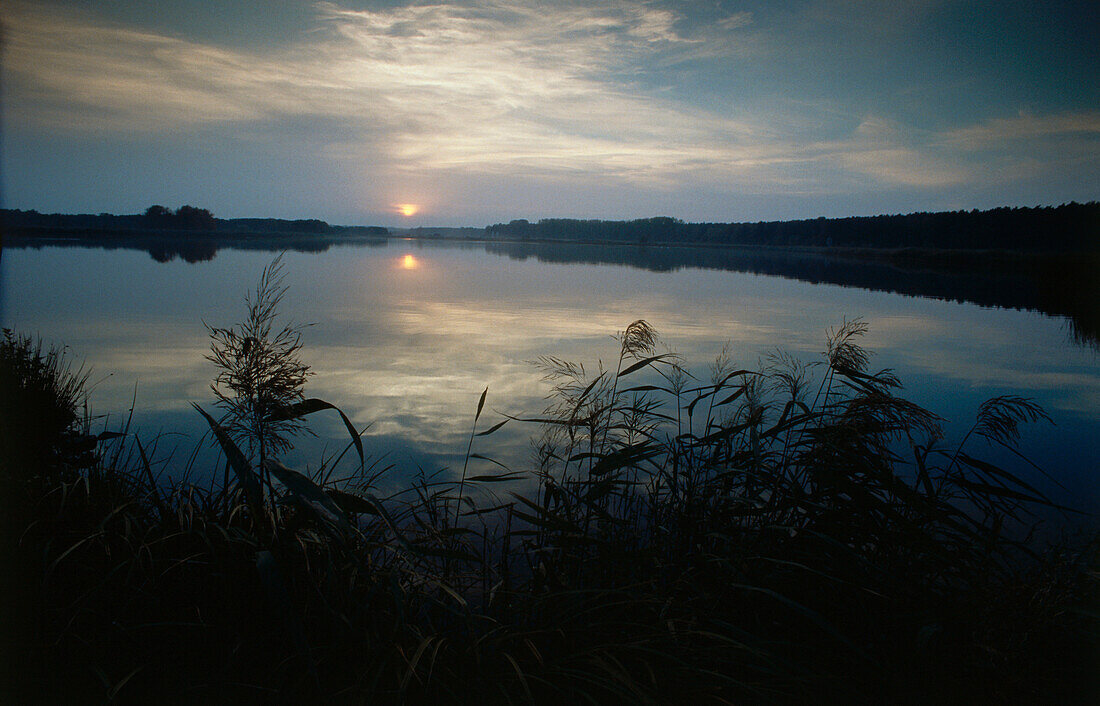 Sonnenuntergang über der Müritz, Mecklenburgische Seenplatte, Mecklenburg-Vorpommern, Deutschland