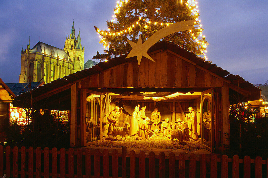 Nativity scene at Christmas market, cathedral square in the evening, Erfurt, Thuringia, Germany