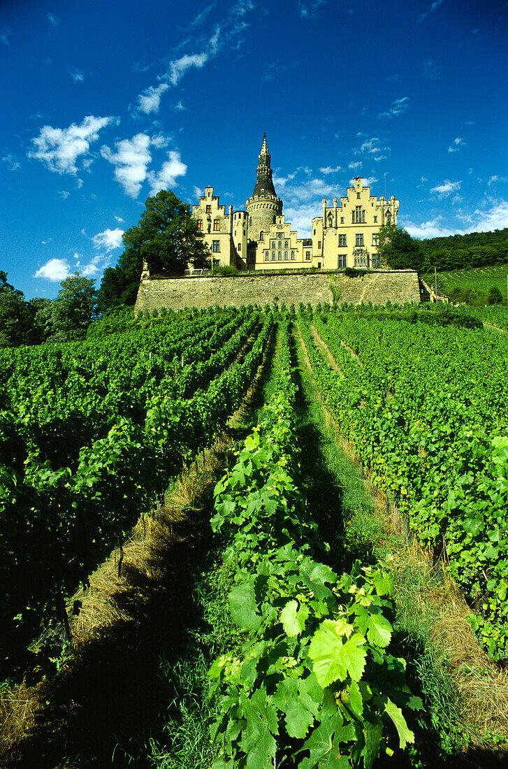 Arenfels Palace, Bad Honningen, River Rhine, Rhineland-Palatinate, Germany