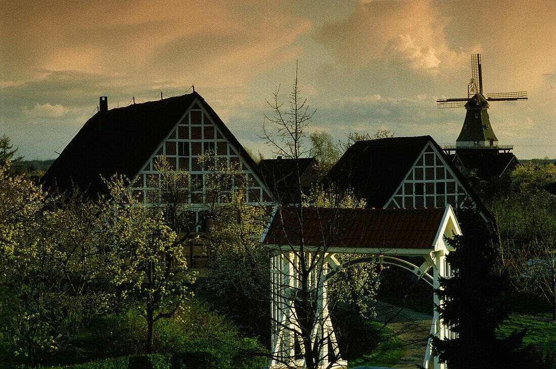 Bauernhäuser und Windmühle am Abend, Twielenfleth, Altes Land, Niedersachsen, Deutschland