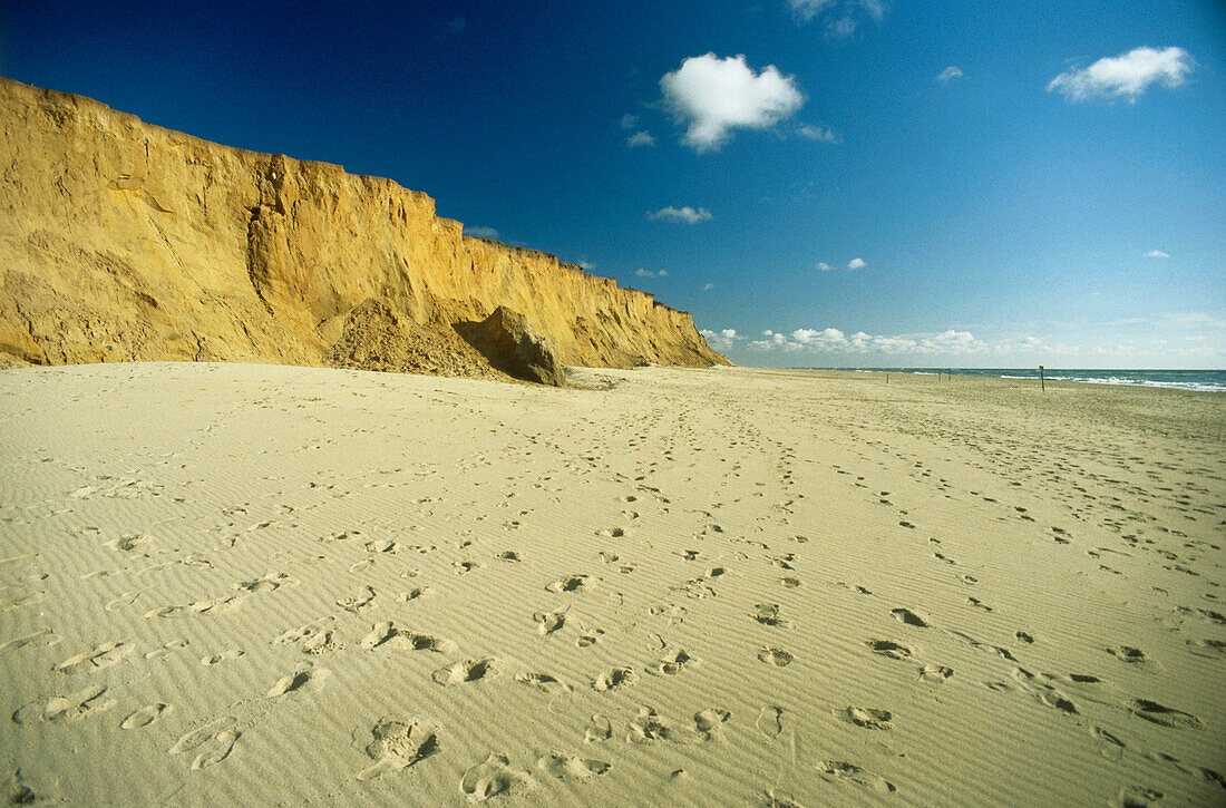 Red Cliff, North Sea island Sylt, Schleswig-Holstein, Germany