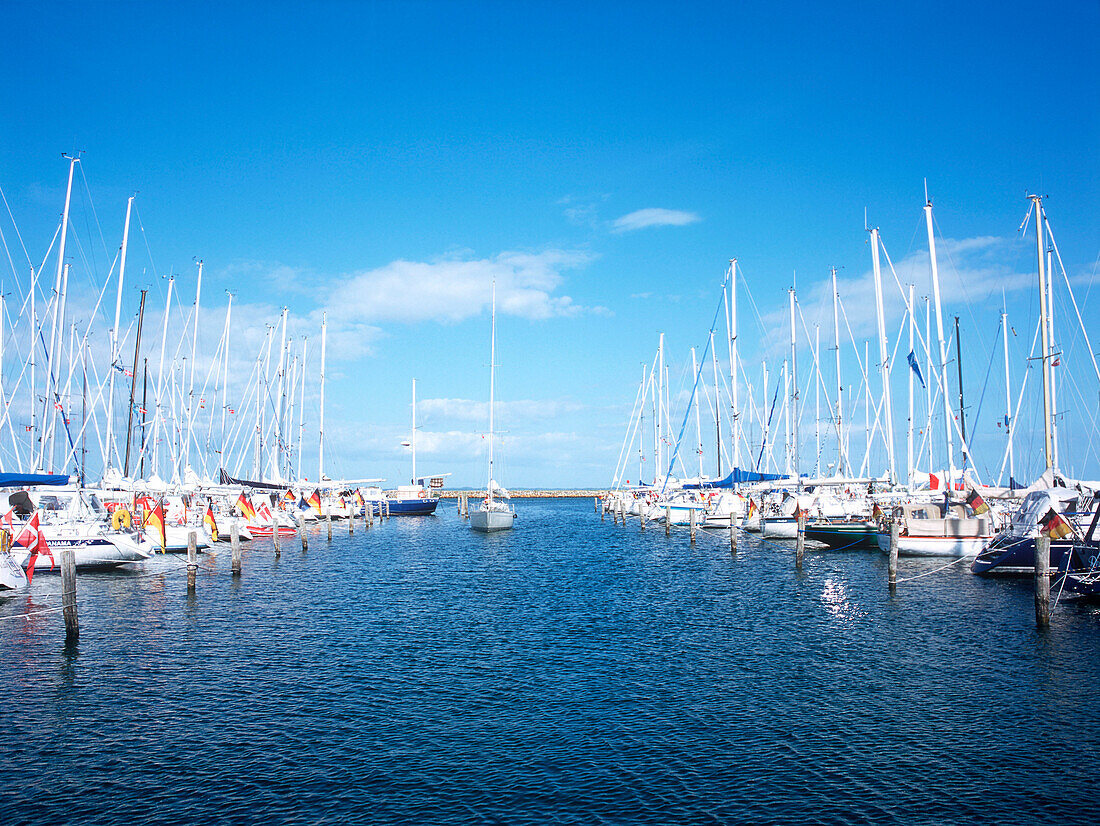 sailing boats in harbor, aero, denmark, baltic sea