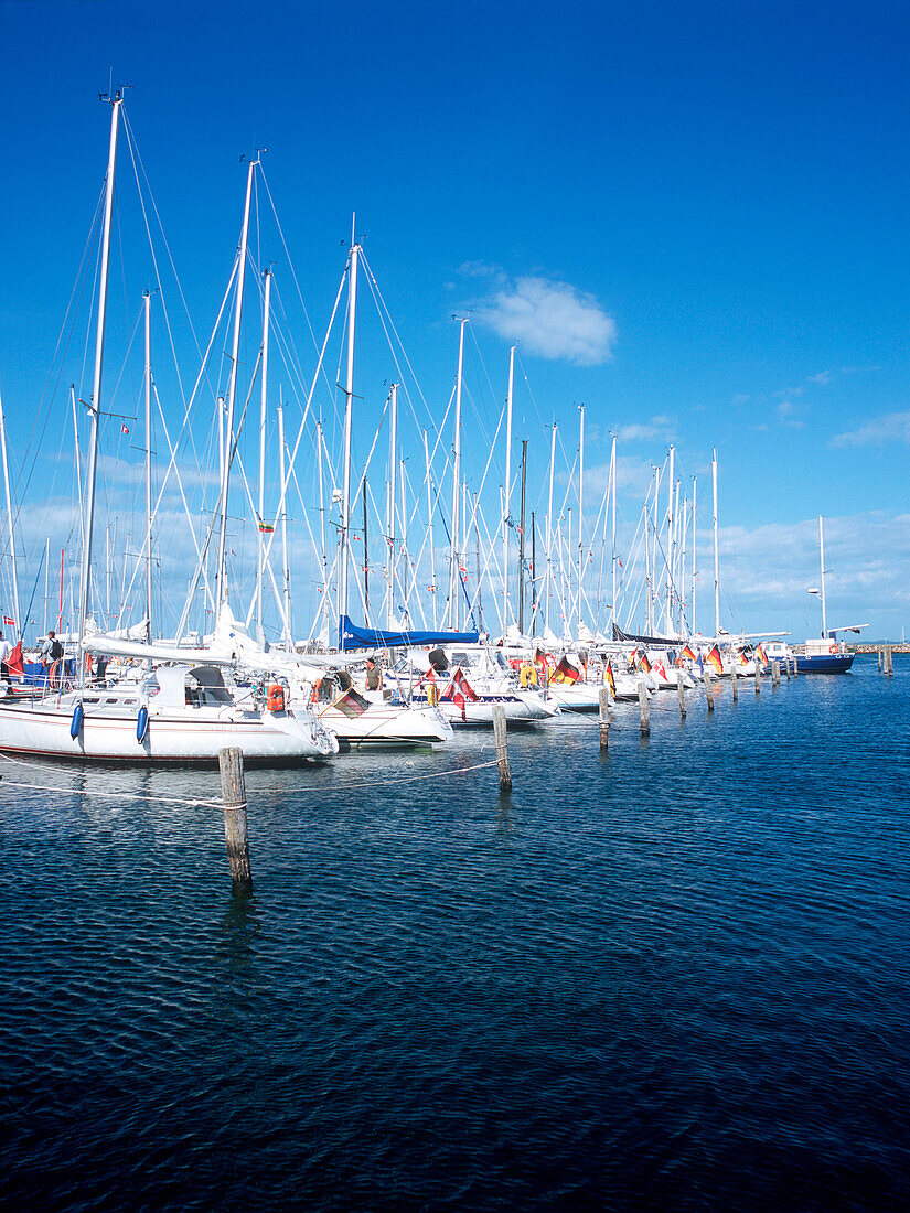 Segelboote im Bootshafen, Aero, Dänemark, Kieler Bucht