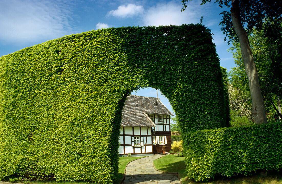 Ein Weingut in der Eifel, Rheinland-Pfalz, Deutschland