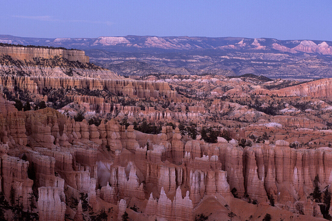 Bryce Canyon at Dawn, View from Bryce Point, Bryce Canyon National Park, Utah, USA