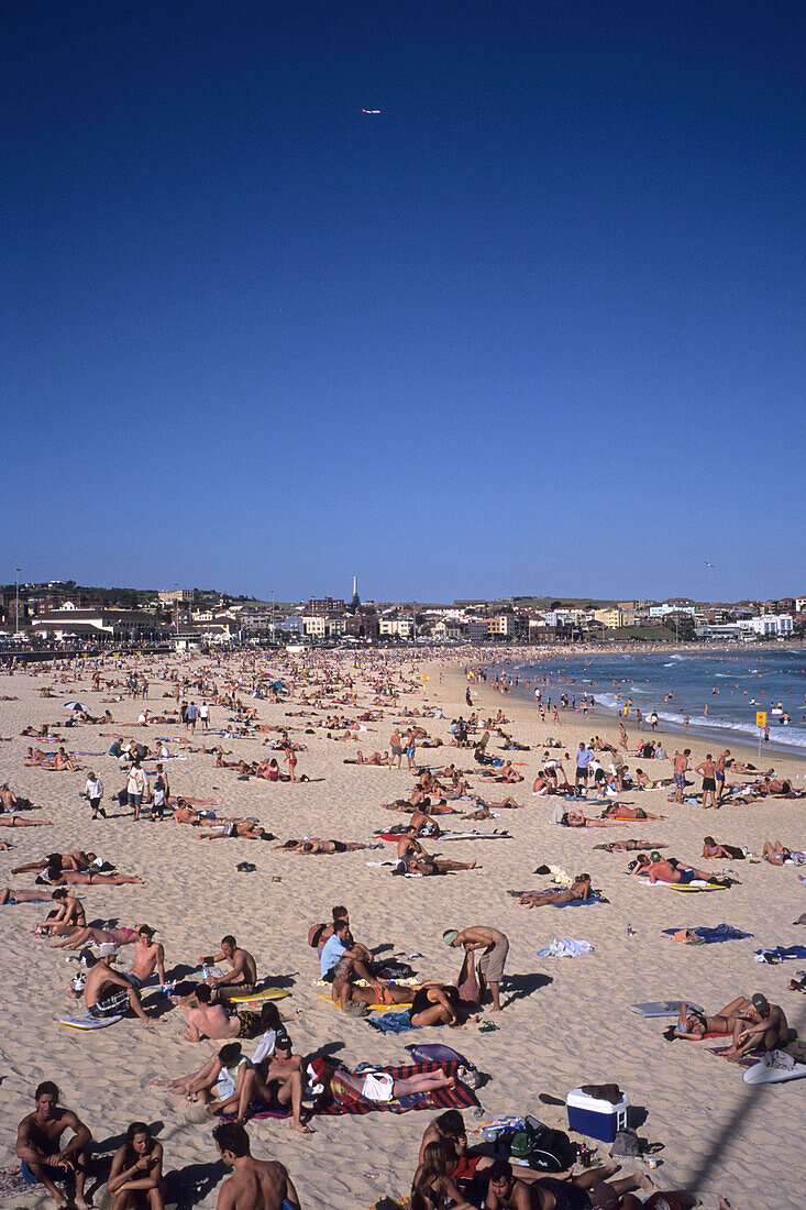 Menschen beim Sonnenbaden am Strand, Bondi Beach, Sydney, New South Wales, Australia