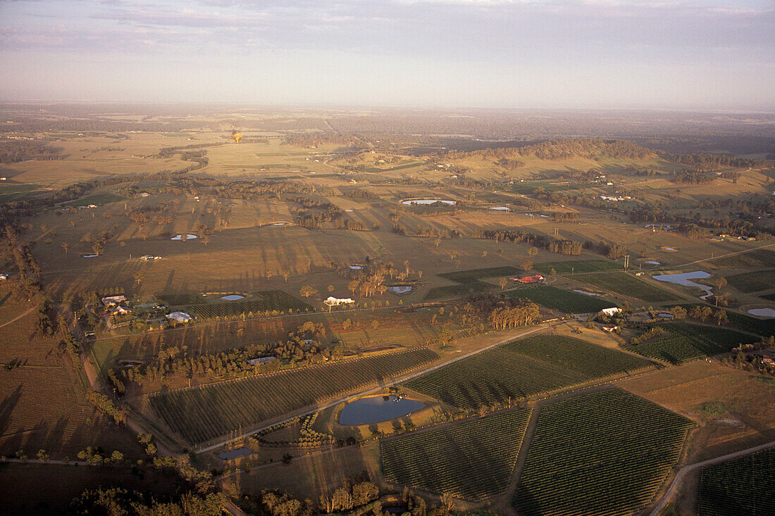 Luftaufnahme von Weinberge, Hunter Valley Vineyards, Hunter Valley, New South Wales, Australien