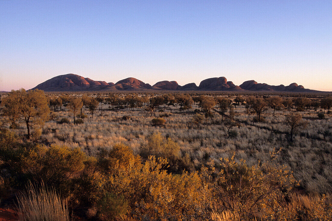 Kata-Tjuta im Morgenlicht, The Olgas, Uluru-Kata Tjuta National Park, Northern Territory, Australien