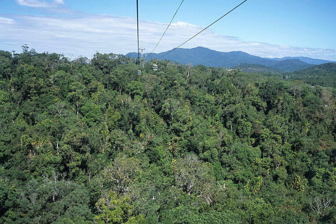 Ein Seilbahn über Kuranda Regenwald, in der Nähe von Kuranda, Queensland, Australien