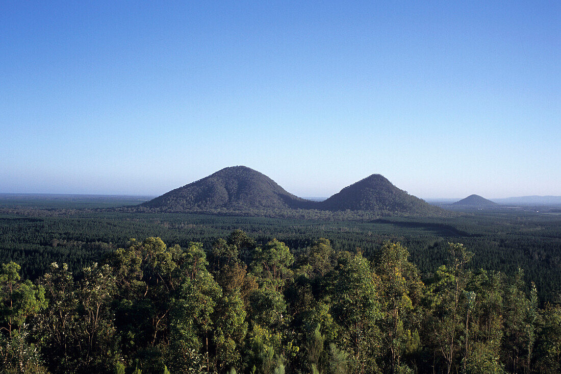 Tunbubudla, The Twins Mountains, Glasshouse Mountains National Park, in der Nähe von Beerburrum, Queensland, Australia