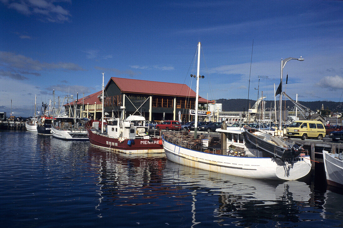 Fischerboote, Mures Fish Centre, Hobart, Tasmanien, Australien