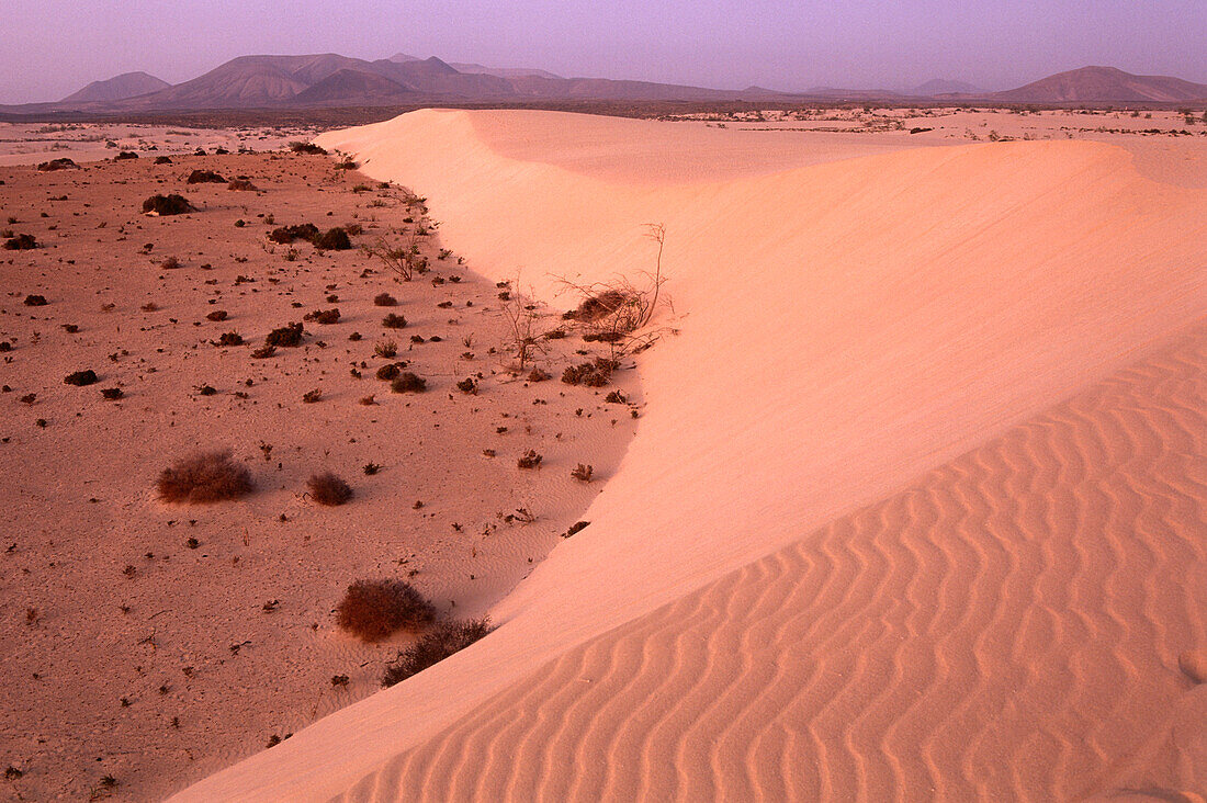 Dunes of Corralejo, Fuerteventura, Canary Islands, Spain