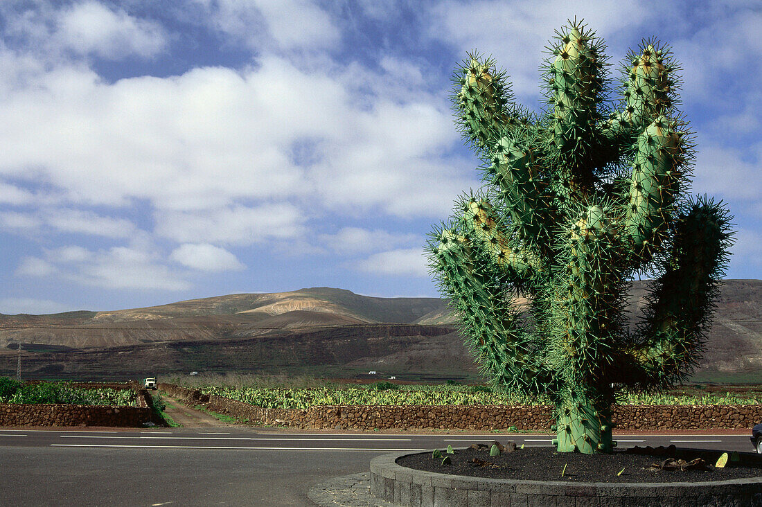 Giant cactus sculpture, entrance of the cactus garden designed by Cesar Manique, Guatiza, Lanzarote, Canary Islands, Spain