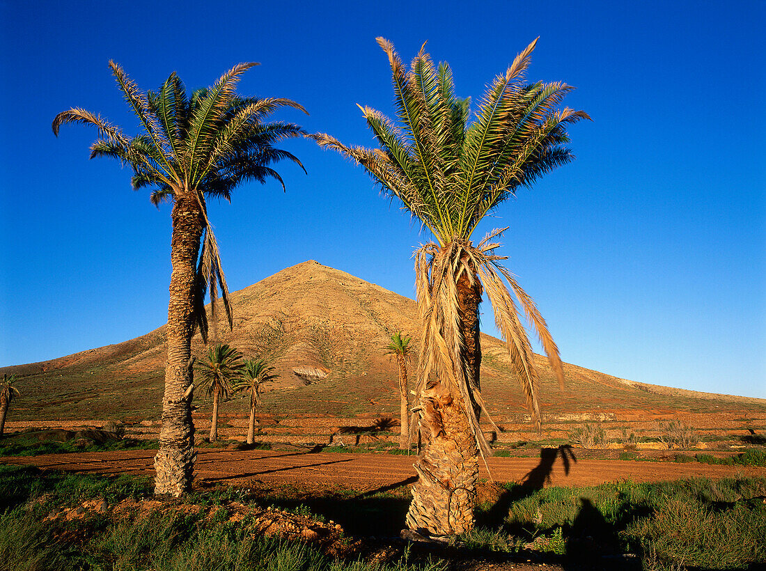 Heiliger Berg der Ureinwohner, Montana Tindaya, erloschenen Vulkan, Fuerteventura, Kanarische Inseln, Spanien