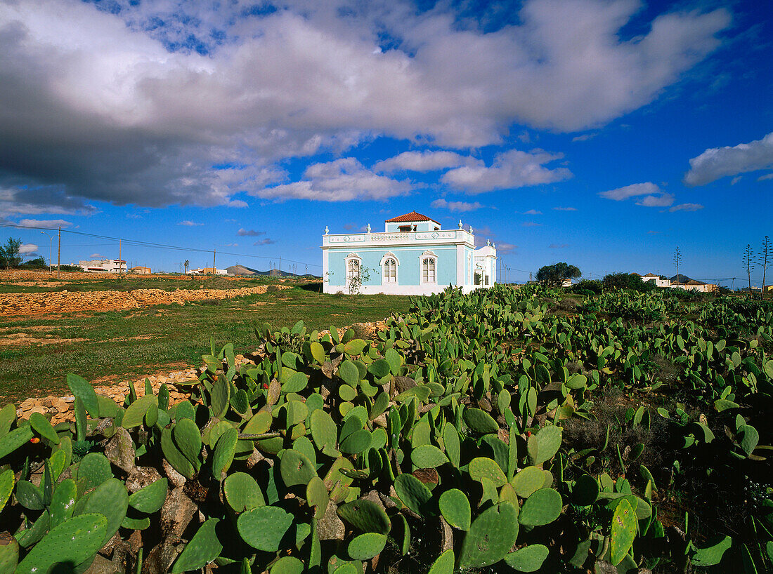 Country house, Art Nouveau, prickly pears, opuntia, Antigua, Fuerteventura, Canary Islands, Spain