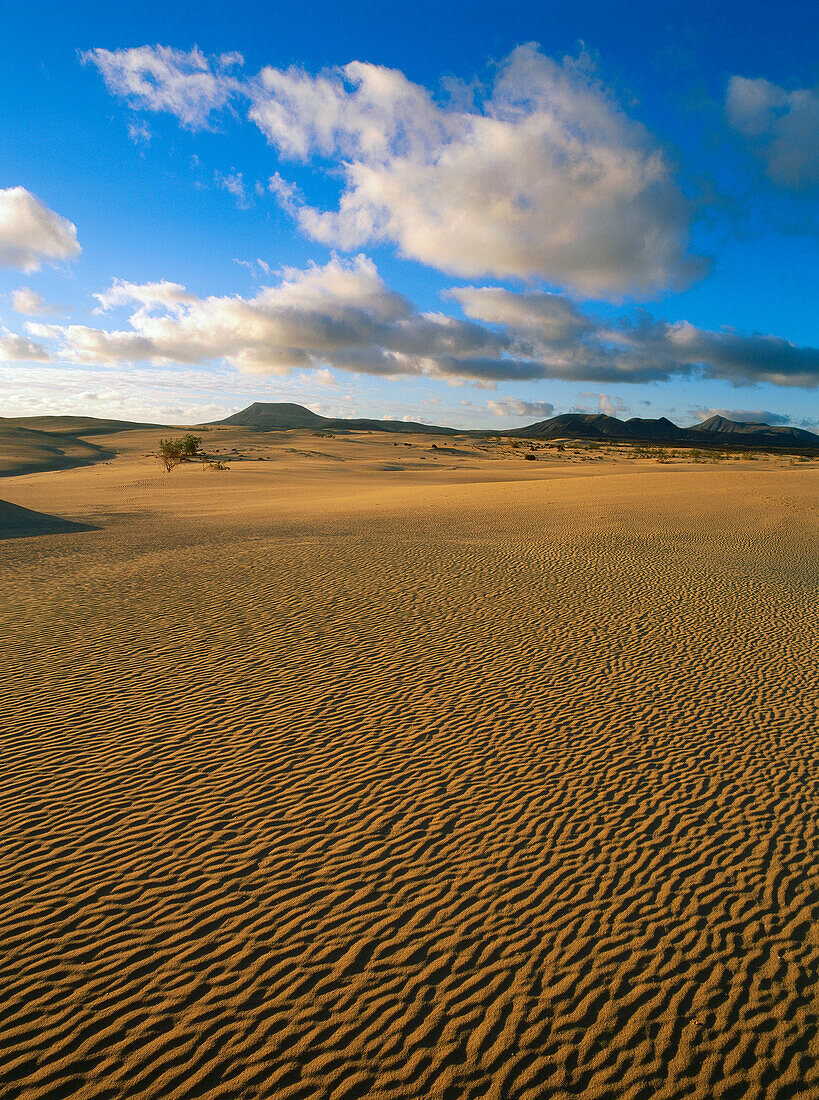 Extinct volcanos, Dunes of Corrajelo, shifting sand dunes, natural park, Fuerteventura, Canary Islands, Spain