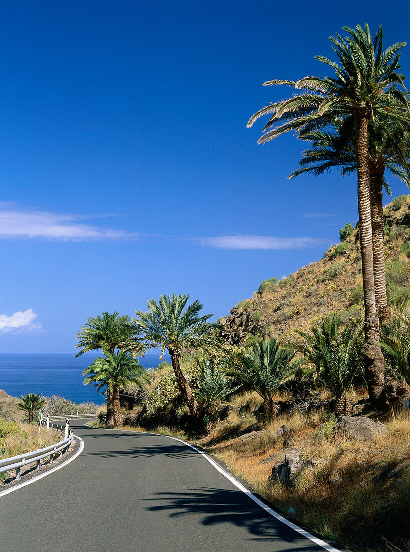 Straße bei Agaete, Gran Canaria, Kanarische Inseln, Spanien, Europa