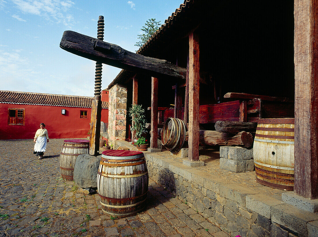 Weingut, Casa del Vino, El Sauzal, Teneriffa, Kanarische Inseln, Spanien, Europa