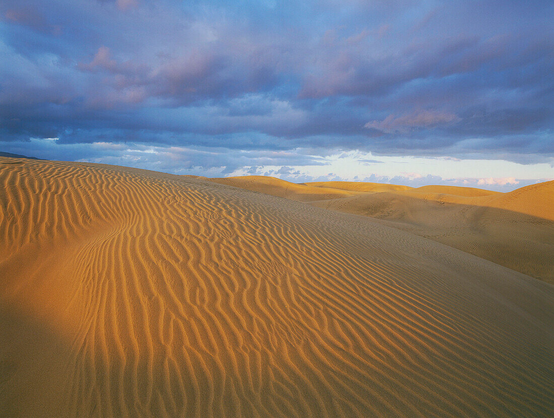 Sand dunes of Maspalomas, nature reseve, Gran Canaria, Canary Islands, Spain