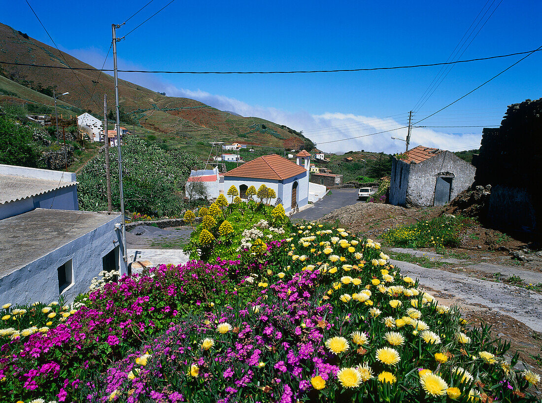 Blumen und Häuser, Tinor, El Hierro, Kanarische Inseln, Spanien