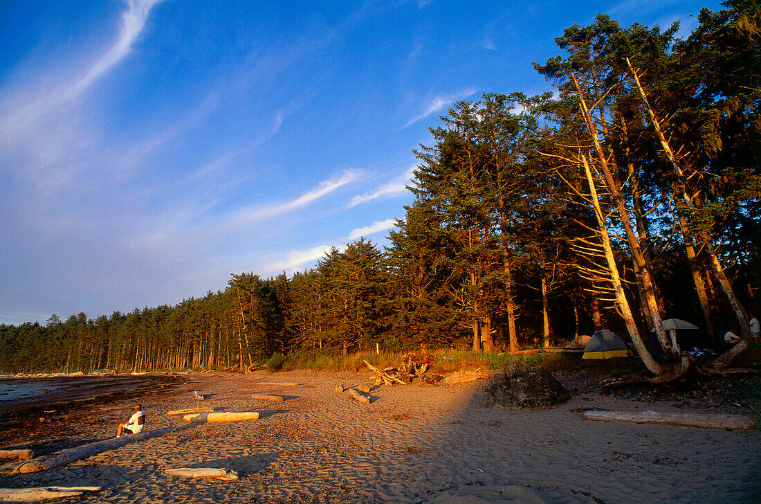 Woodland and beach at Sand Point near Ozette, Olympic National Park, Washington, USA