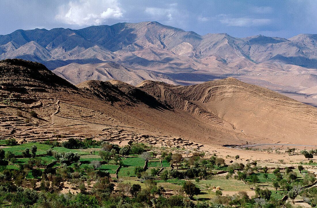 Felder vor hohem Atlas östlich von Taliouine, Marokko, Afrika