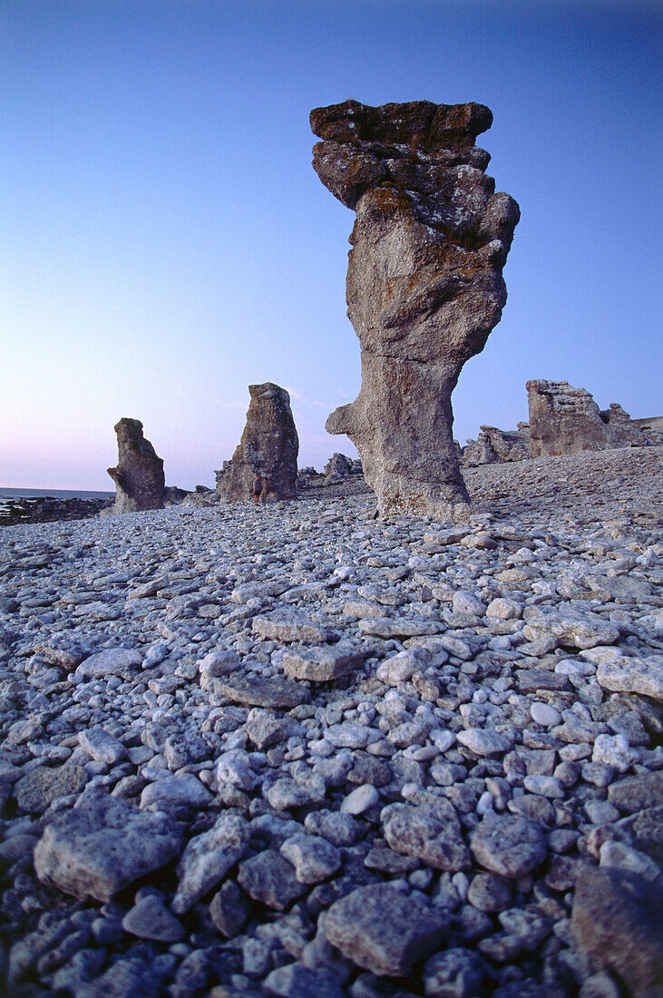 Chalk stone formation, Beach, Langhammars Raukar, Faroe Island, Gotland, Sweden