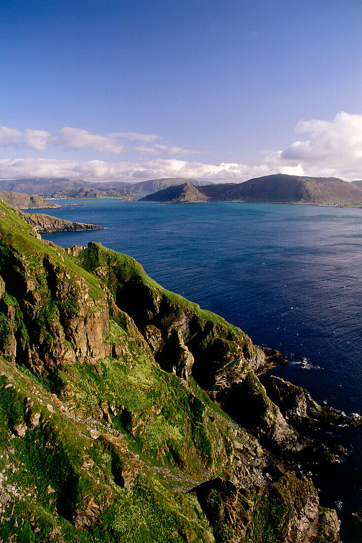 Steep coast, bird island Runde, Moere og Romsdal, Norway