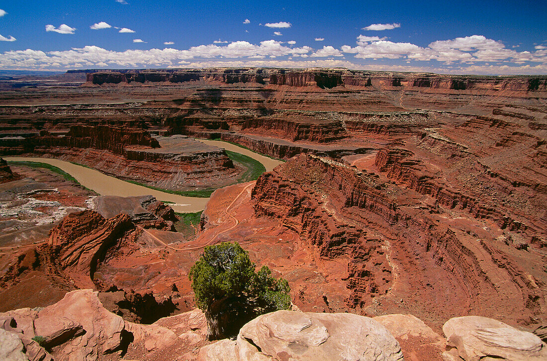 Dead Horse Point, Colorado River west of Moab, Utah, USA