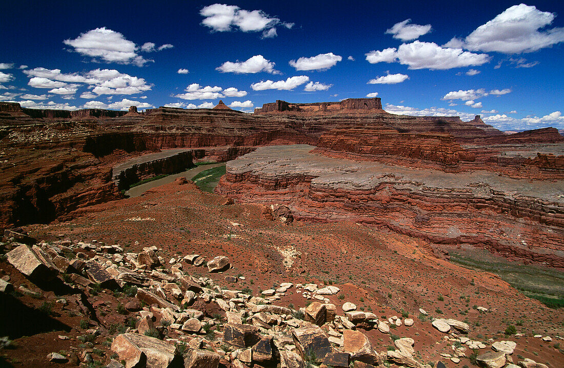 Über sicht über Goose Neck, White Rim Trail, Canyonlands NP, Utah, USA