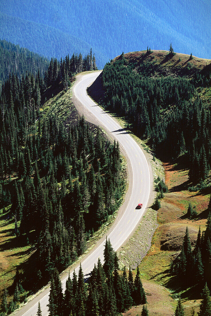 Road to Hurricane Ridge, Olympic Mountains, Washington, USA