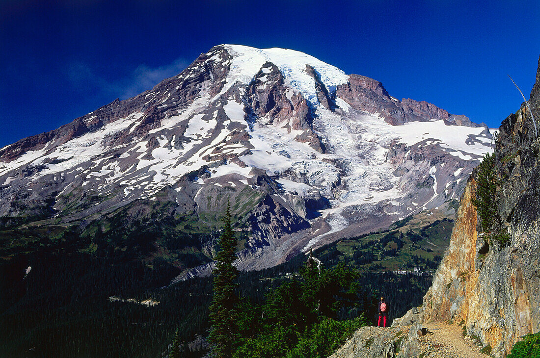 Mt. Rainier, trail, Mt. Rainier Nat. Park, Washington, USA