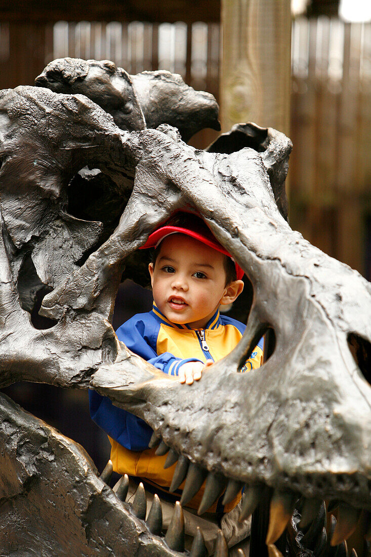 Ein Junge und ein Skulptur eines Dinosaurius in Washington Zoo, Washington DC, Vereinigte Staaten von Amerika, USA