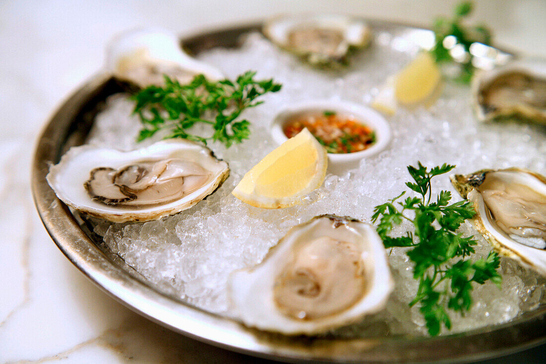 Close up of oysters, Johnnys HalfShell Restaurant, Washington DC, United States, USA