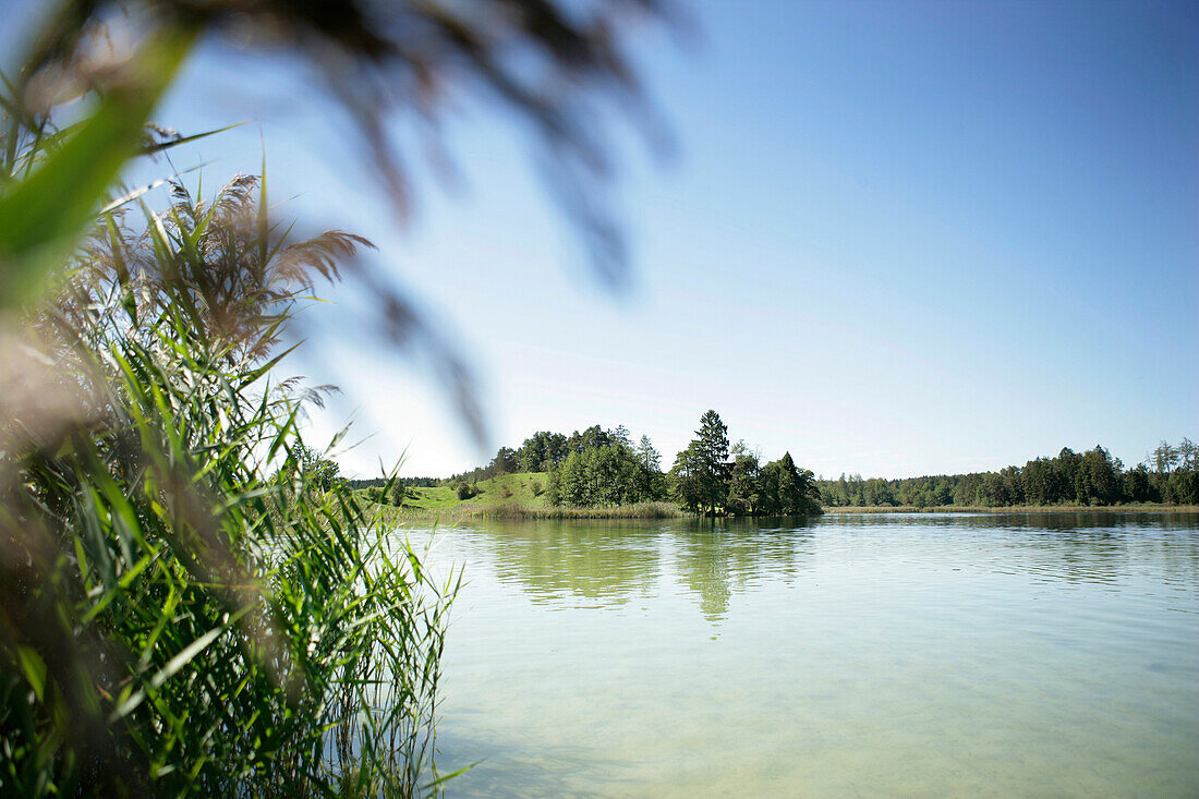 Fohnsee, Osterseen, Oberbayern, Deutschland