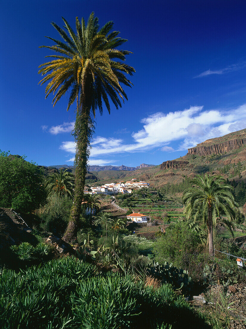 Fataga, Gran Canaria, Kanarische Inseln, Spanien