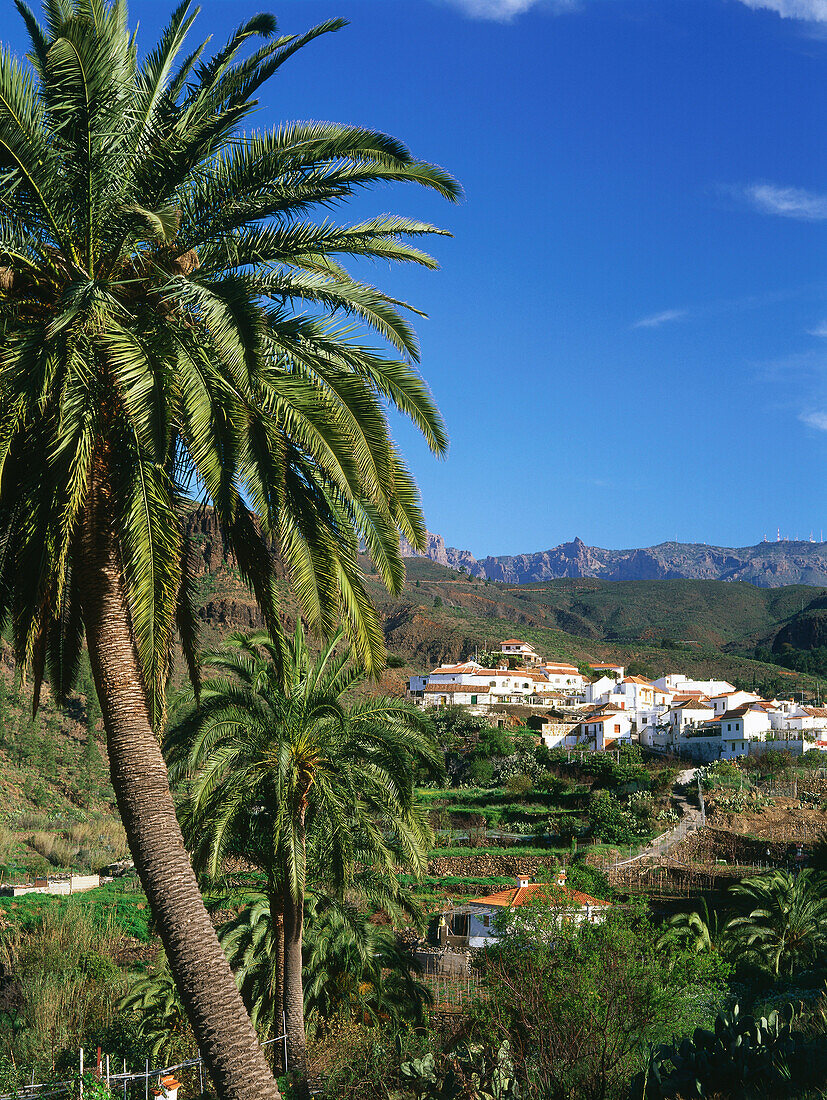 Fataga, Gran Canaria, Kanarische Inseln, Spanien