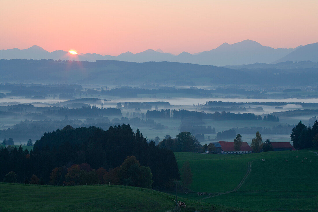 View from Auerberg at sunrise, near Bernbeuren, Allgaeu, Upper Bavaria, Bavaria, Germany