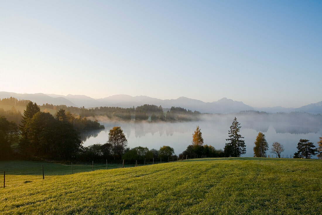 Nebel über Schmuttersee, bei Füssen, Allgäu, Bayern, Deutschland