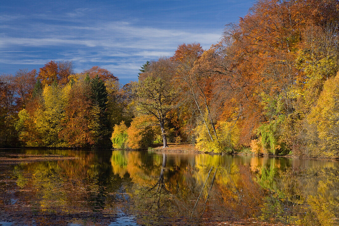Deixlfurter See mit Spiegelung, bei Tutzing, Fünfseenland, Oberbayern, Bayern, Deutschland