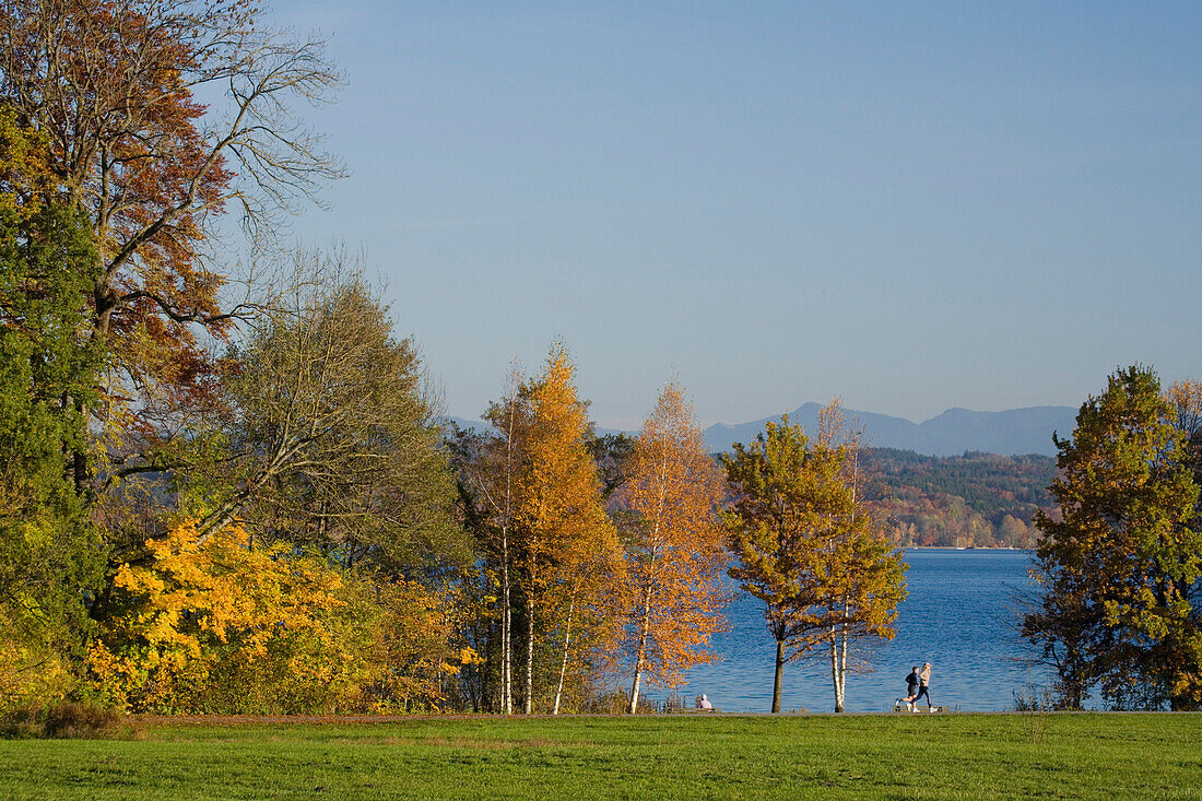 Zwei Personen beim Joggen in Bernrieder Park, Starnberger See, Bernried, Fünfseenland, Oberbayern, Bayern, Deutschland