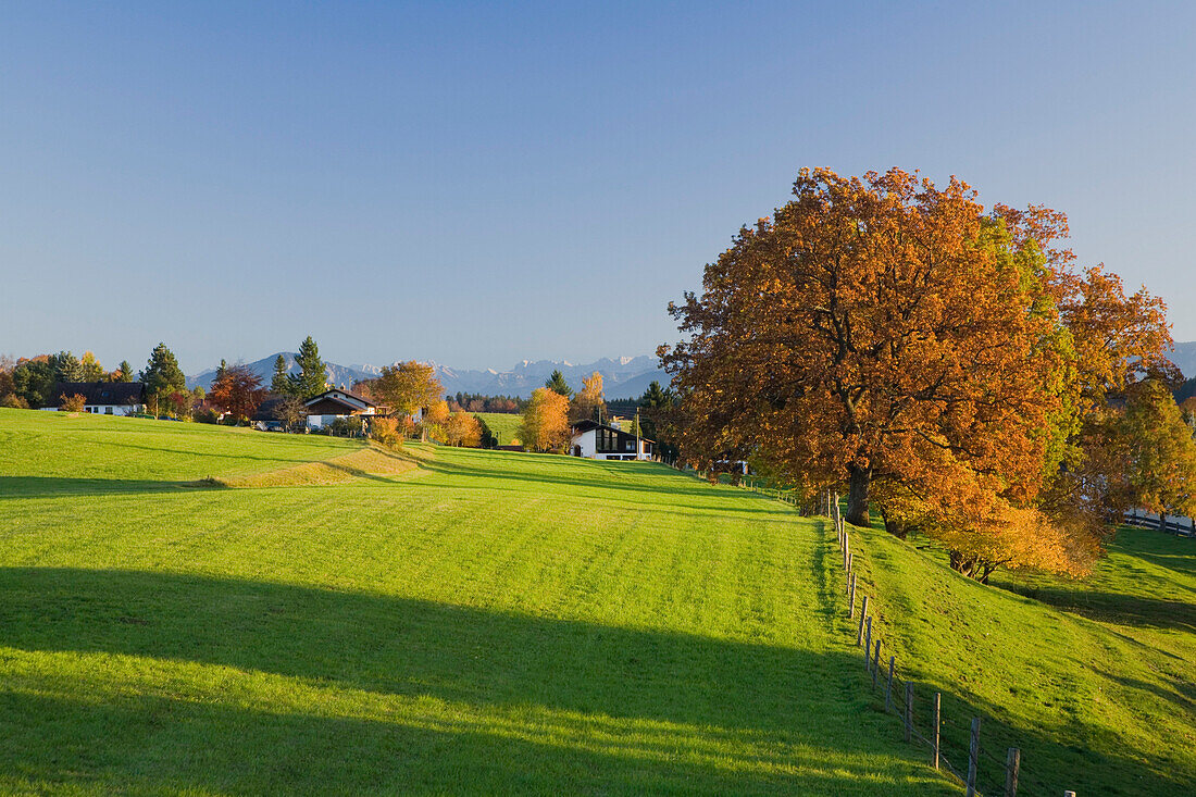 An Autumn landscape, Eberfing, near Weilheim, Bavaria, Germany