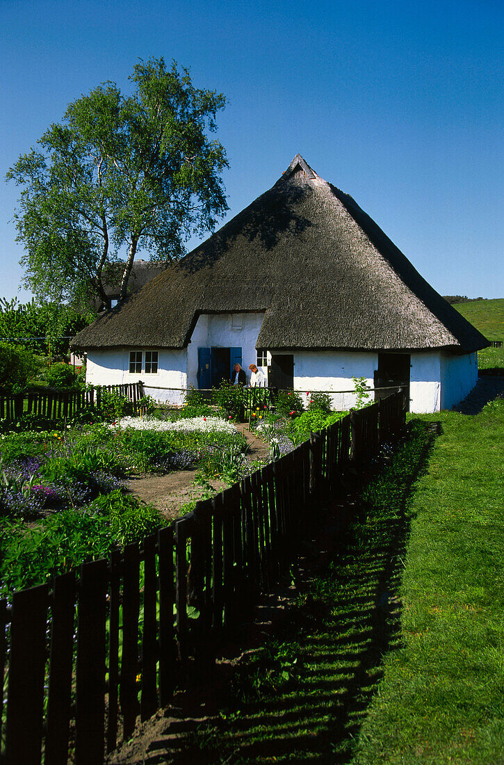 House, Great Zicker, Rügen Island, Mecklenburg-Western Pomerania, Germany, Europe