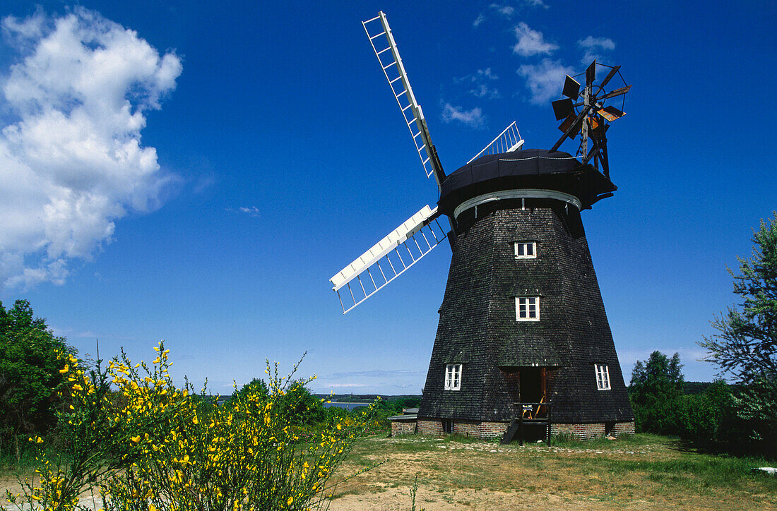 Windmill of Benz, Usedom Island, Mecklenburg-Western Pomerania, Germany