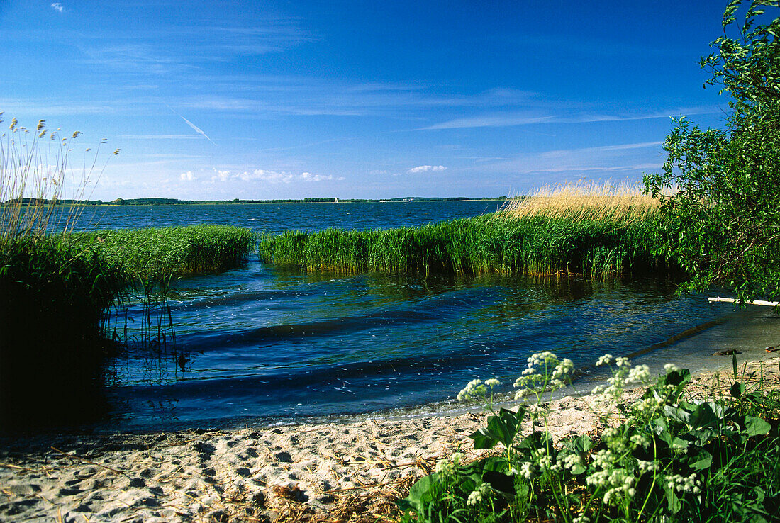 Achterwasser, Lieper Winkel, Usedom, Mecklenburg Vorpommern, Deutschland, Europa