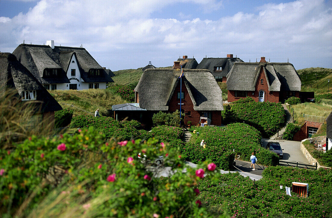 Rantum, Sylt, Nordfriesland, Schleswig-Holstein, Deutschland, Europa