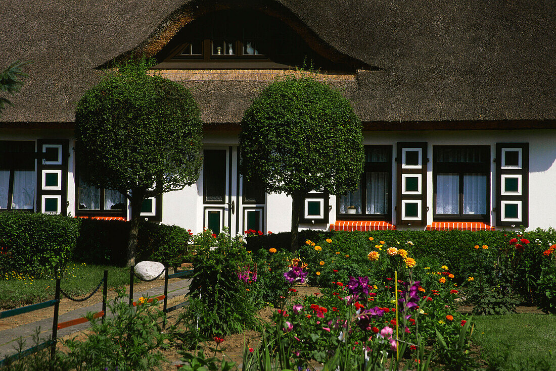 House with typical roof in Wiek, Darss, Mecklenburg-Western Pomerania, Germany